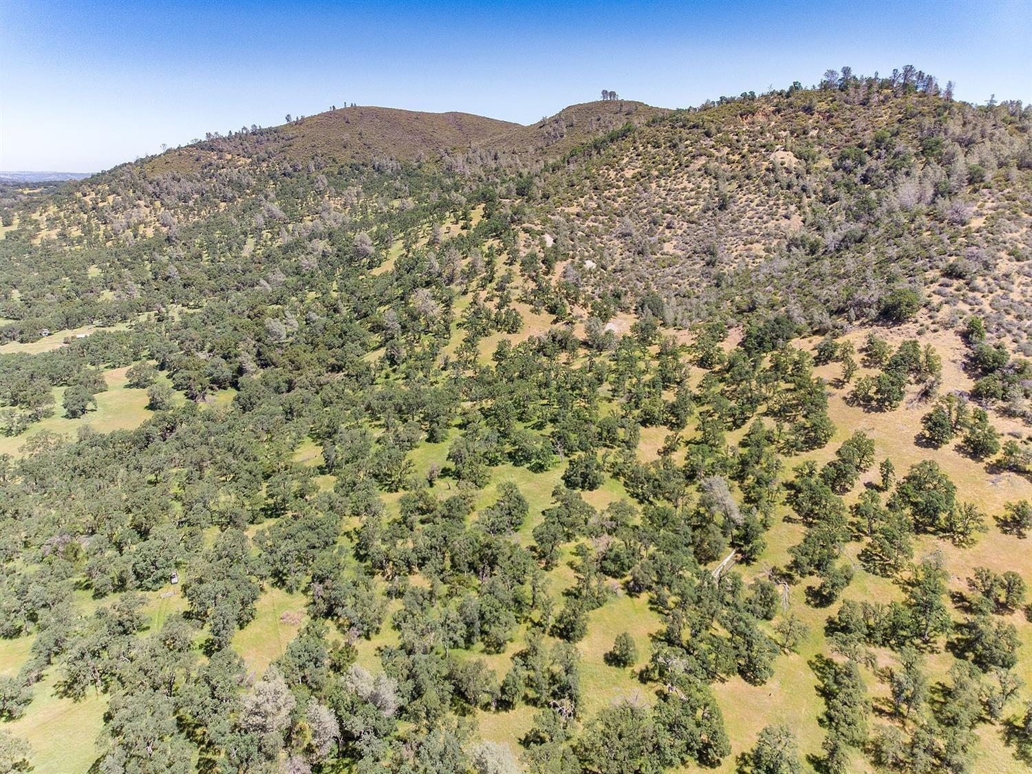 Detail Gallery Image 59 of 68 For 0 40 Acres Ascension Ln, Pilot Hill,  CA 95664 - – Beds | – Baths