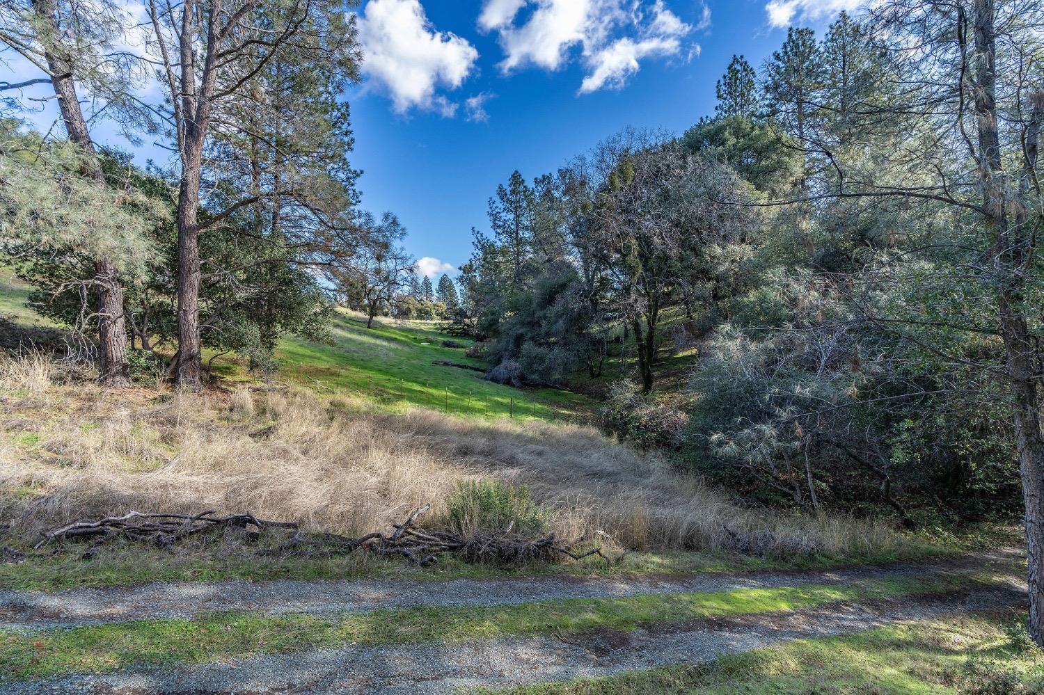 Red Mule Road, Fiddletown, California image 4