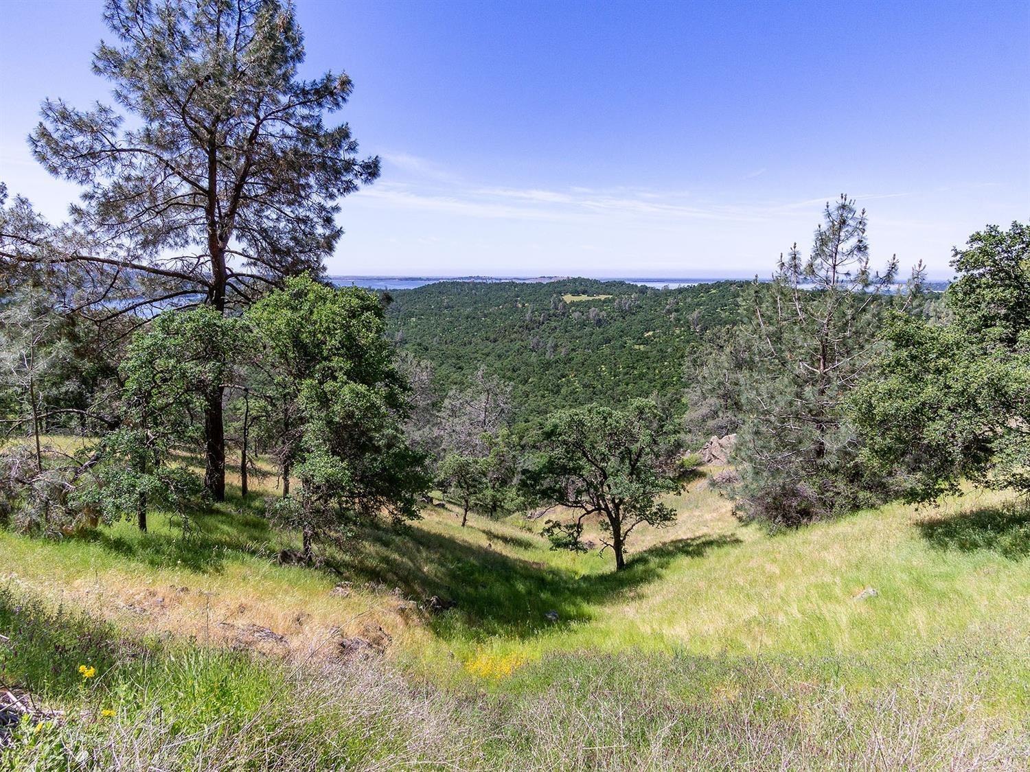 40 Acres Ascension Ln, Pilot Hill, California image 50