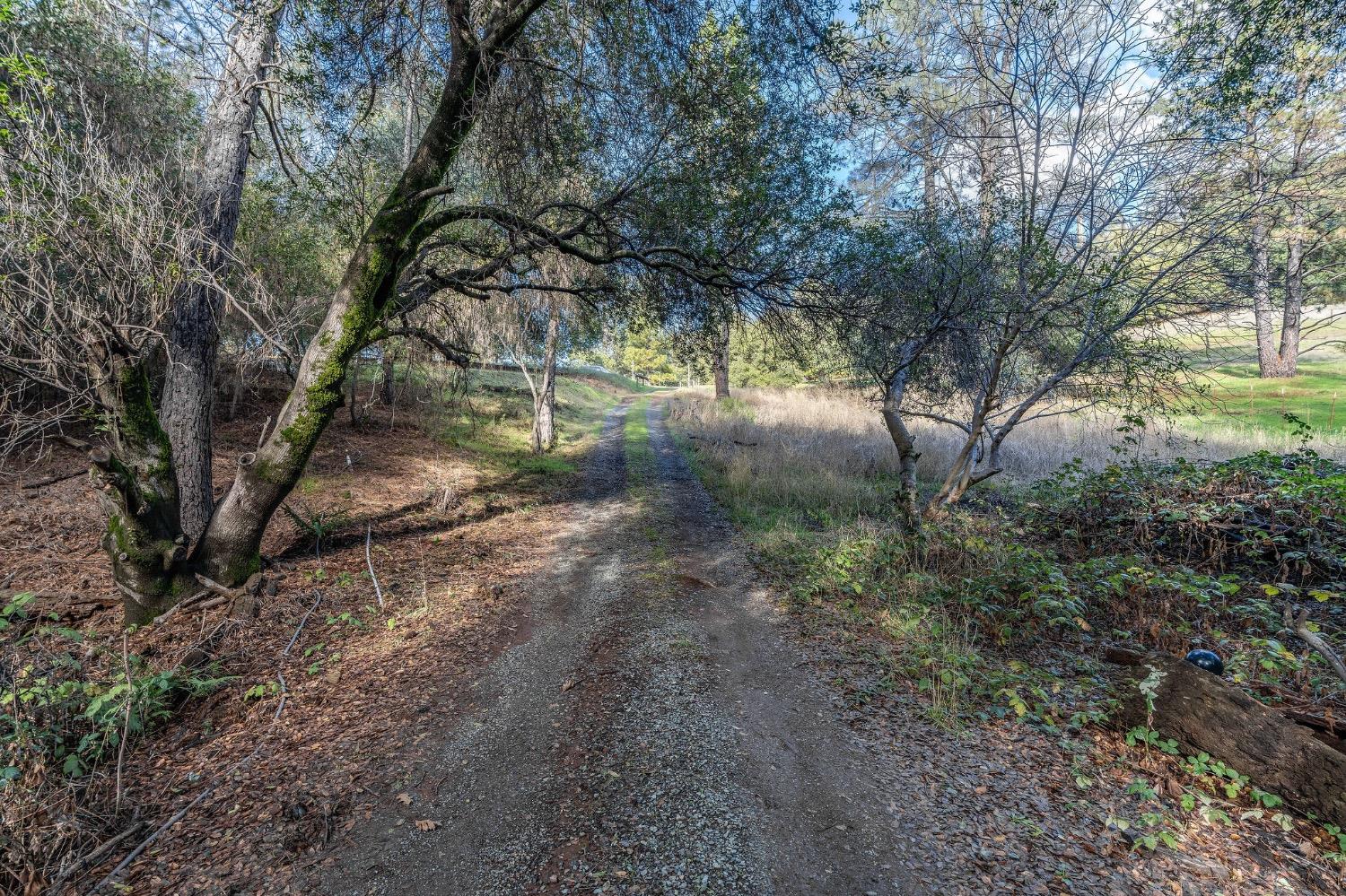 Red Mule Road, Fiddletown, California image 6