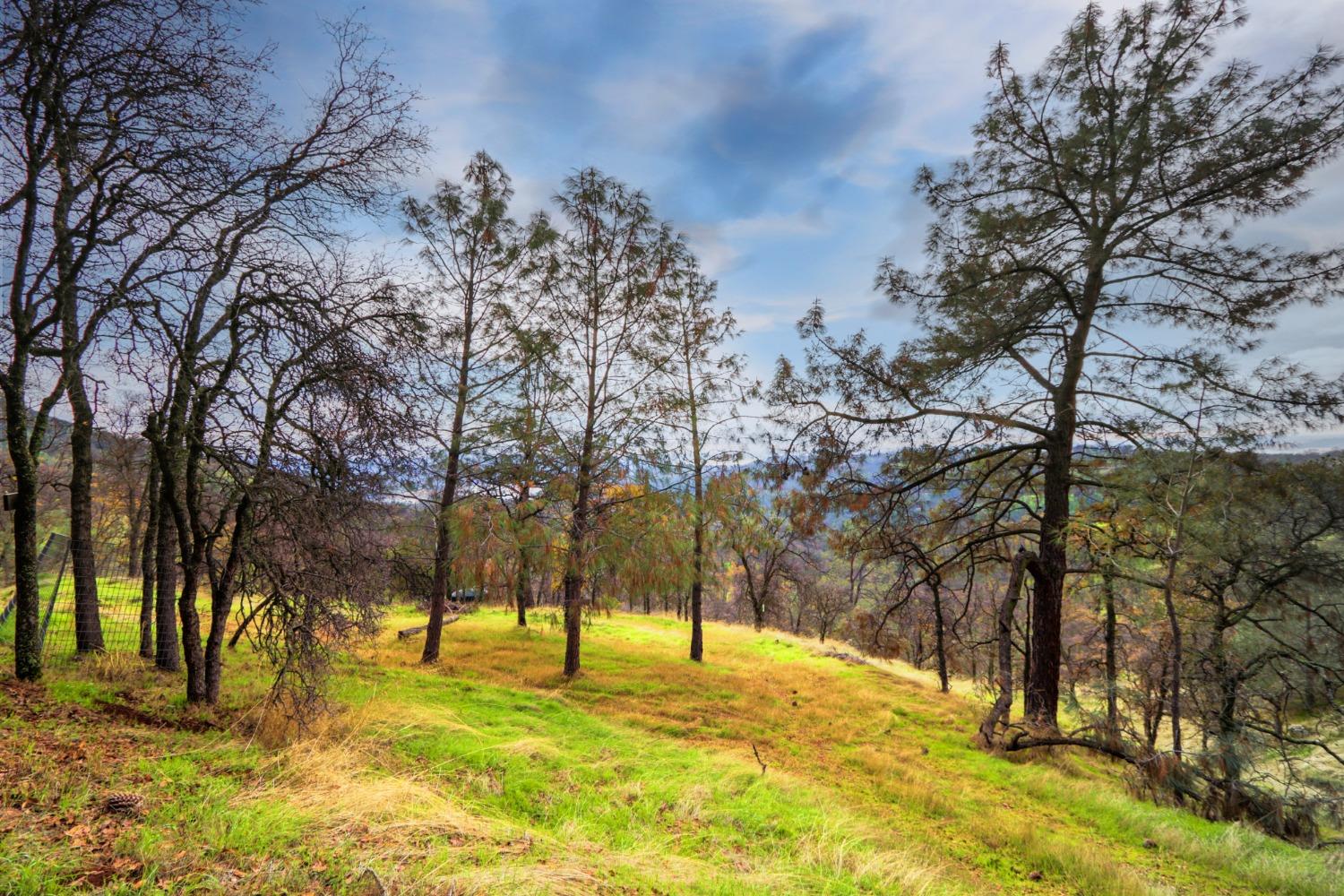 40 Acres Ascension Ln, Pilot Hill, California image 30