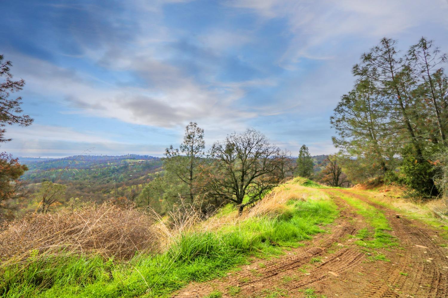 40 Acres Ascension Ln, Pilot Hill, California image 29