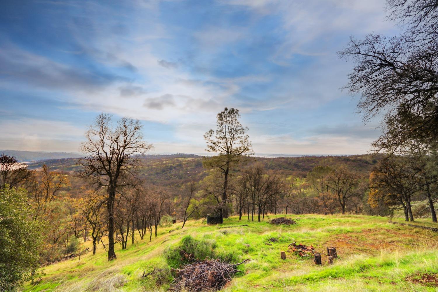 Detail Gallery Image 32 of 68 For 0 40 Acres Ascension Ln, Pilot Hill,  CA 95664 - – Beds | – Baths