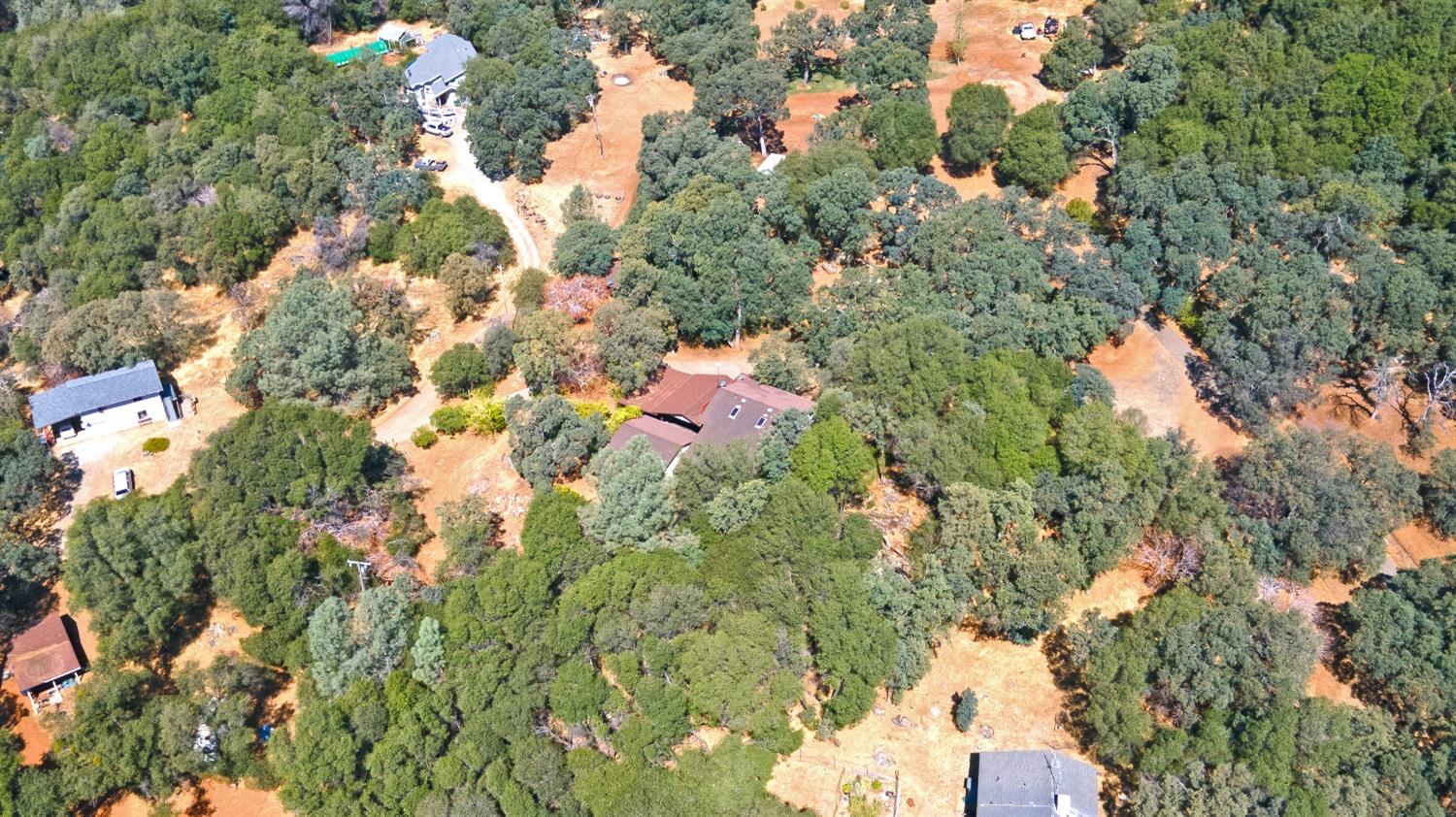 Forrest Road, Grass Valley, California image 39