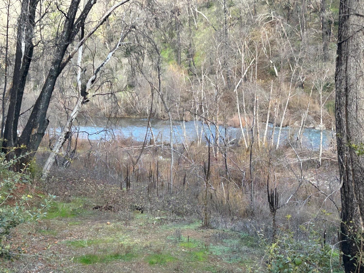 Silver Leaf, Grass Valley, California image 7