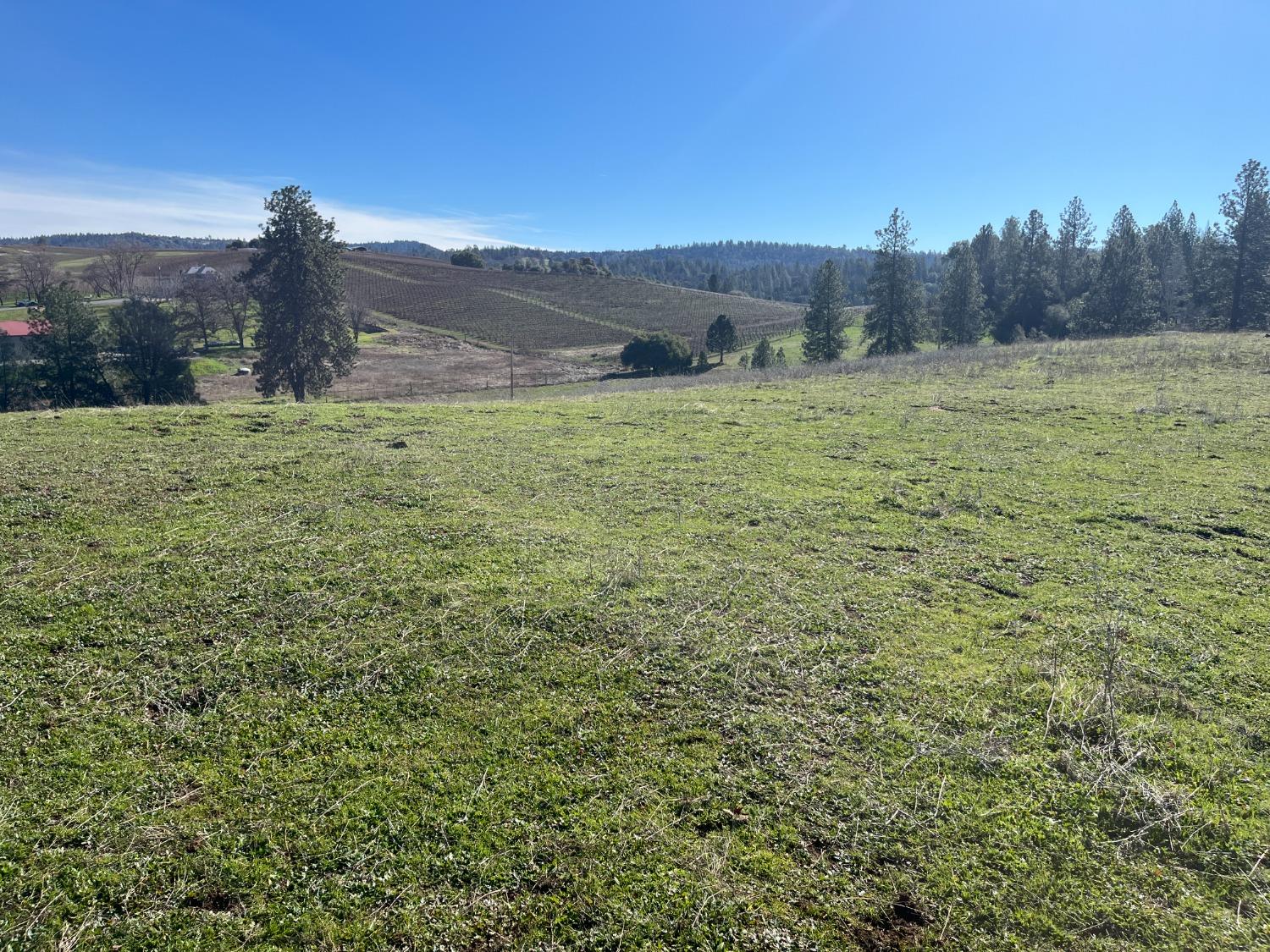 Dorado Canyon Road, Somerset, California image 2