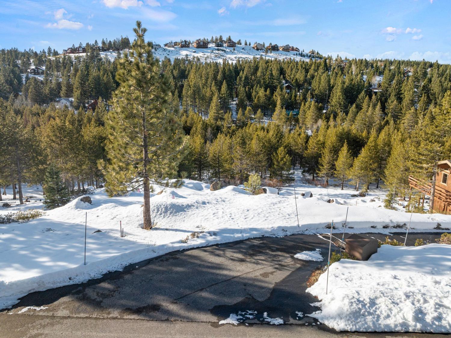 Detail Gallery Image 8 of 37 For 13439 Hillside Dr, Truckee,  CA 96161 - – Beds | – Baths