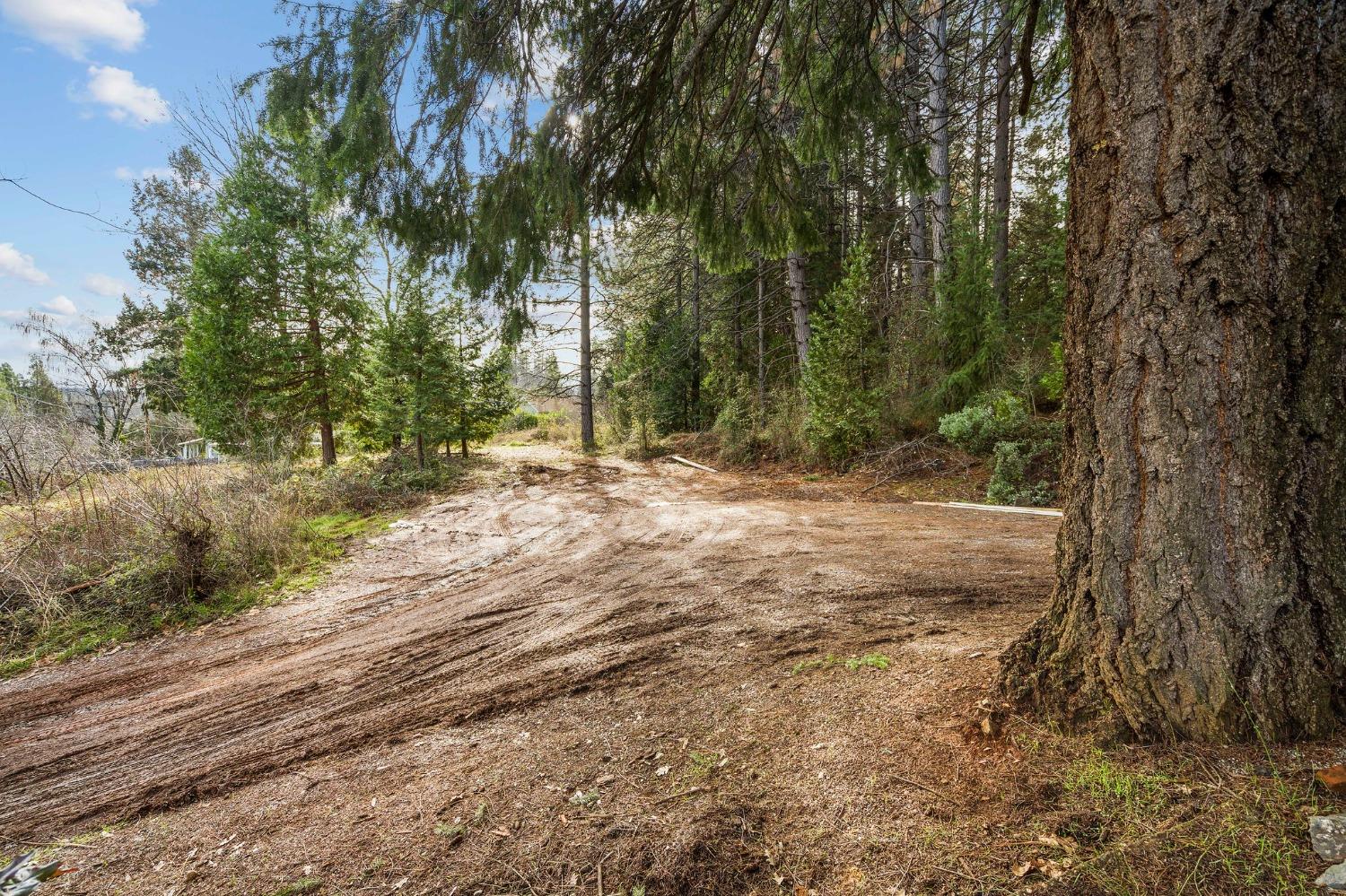 W Olympia Drive, Grass Valley, California image 28