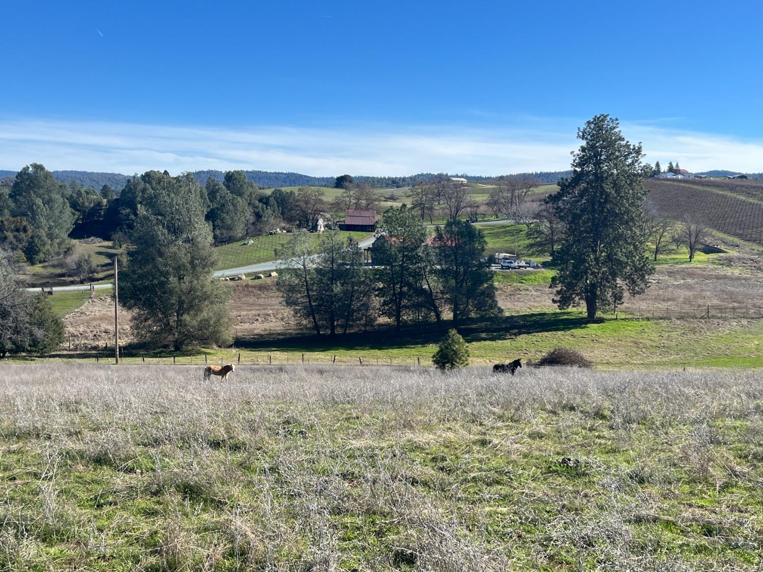 Dorado Canyon Road, Somerset, California image 4