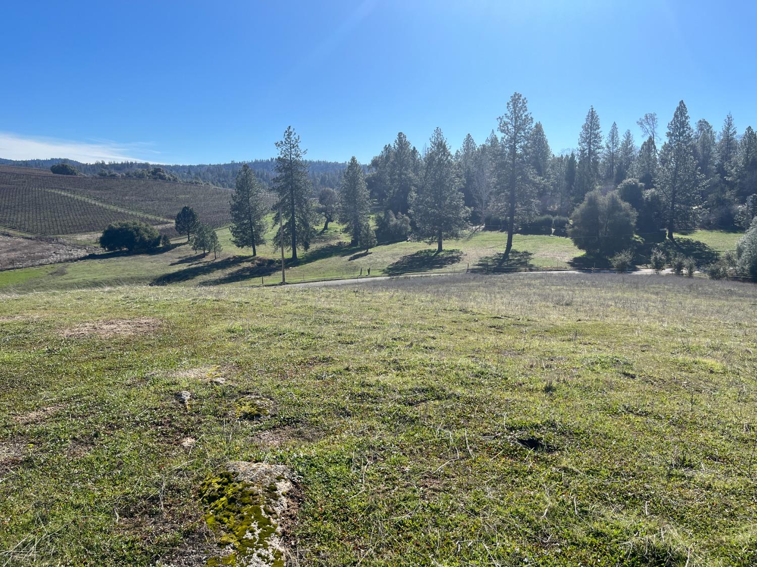 Dorado Canyon Road, Somerset, California image 3