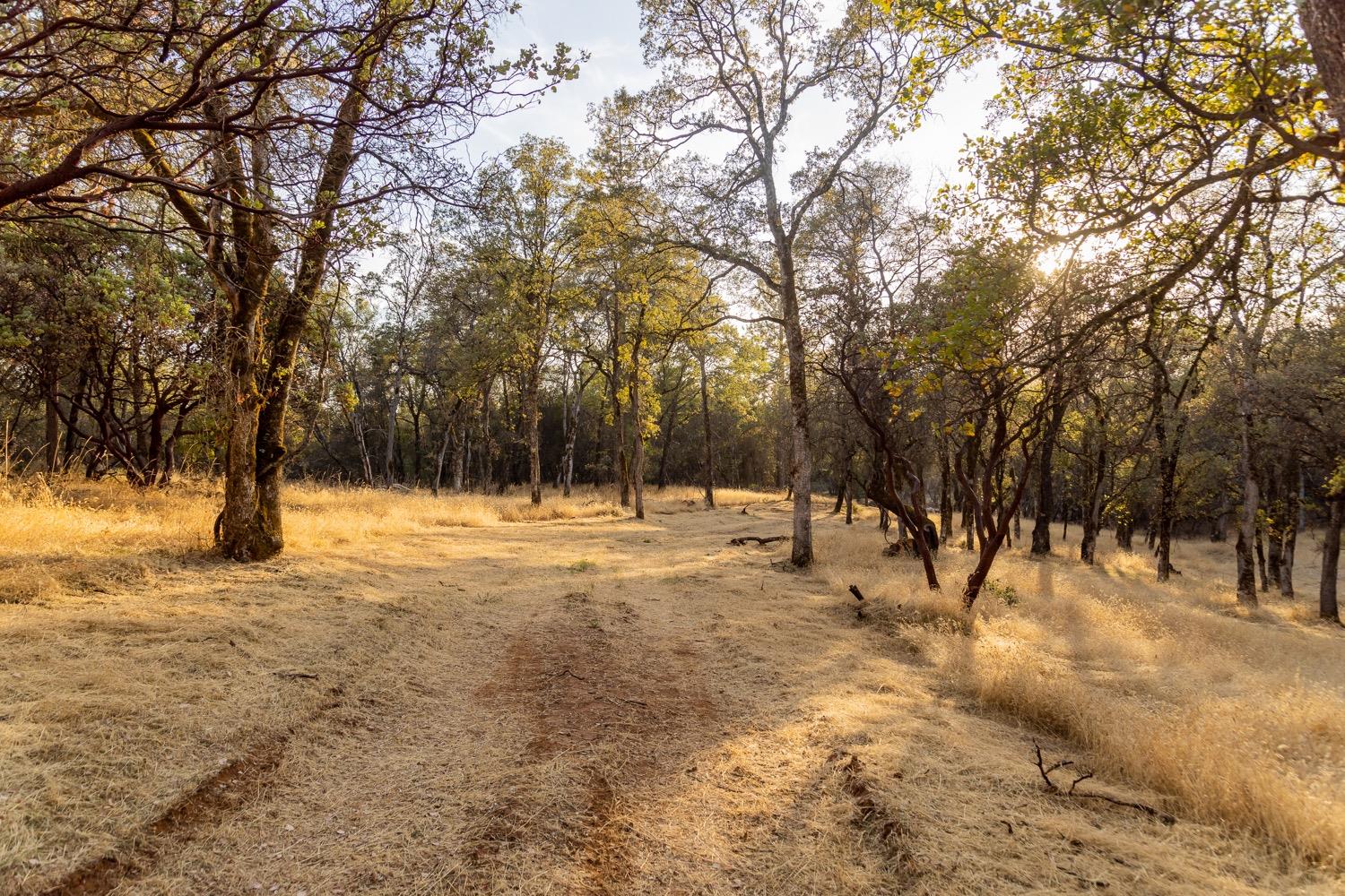 Mariposa Trail, Penn Valley, California image 25