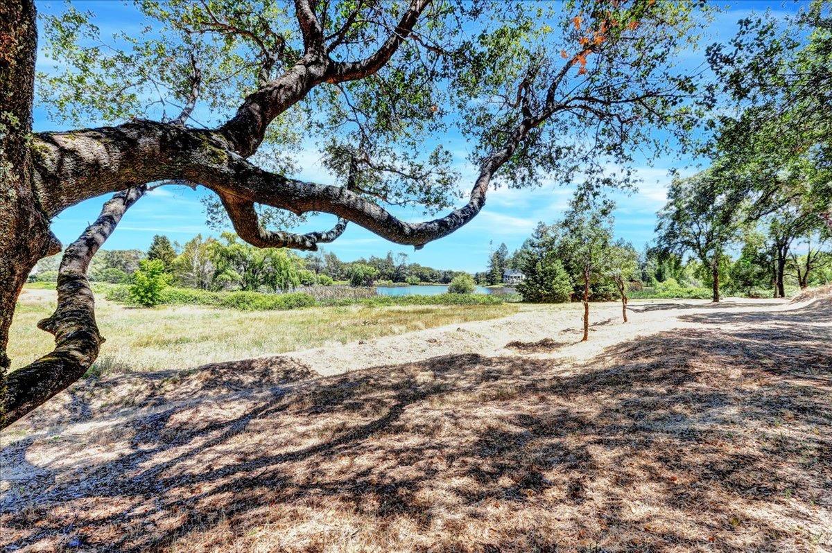 Mariposa Trail, Penn Valley, California image 18