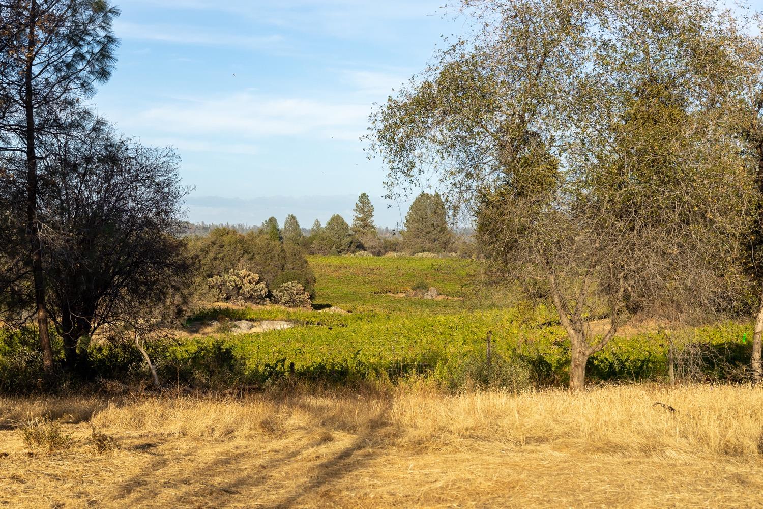 Mariposa Trail, Penn Valley, California image 3