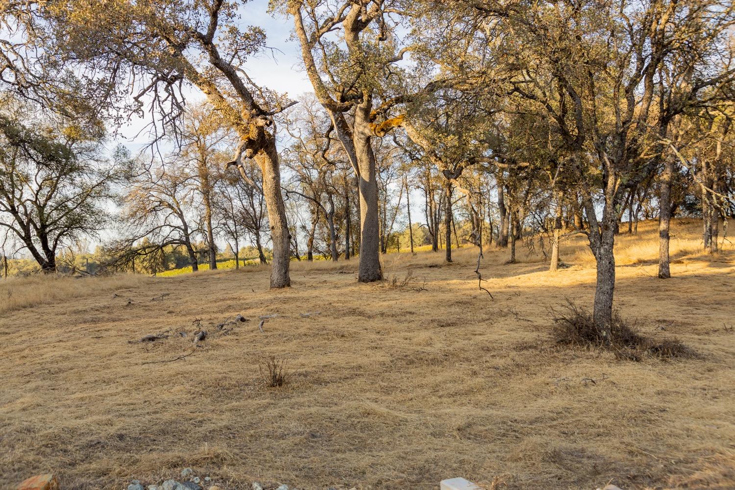 Mariposa Trail, Penn Valley, California image 27