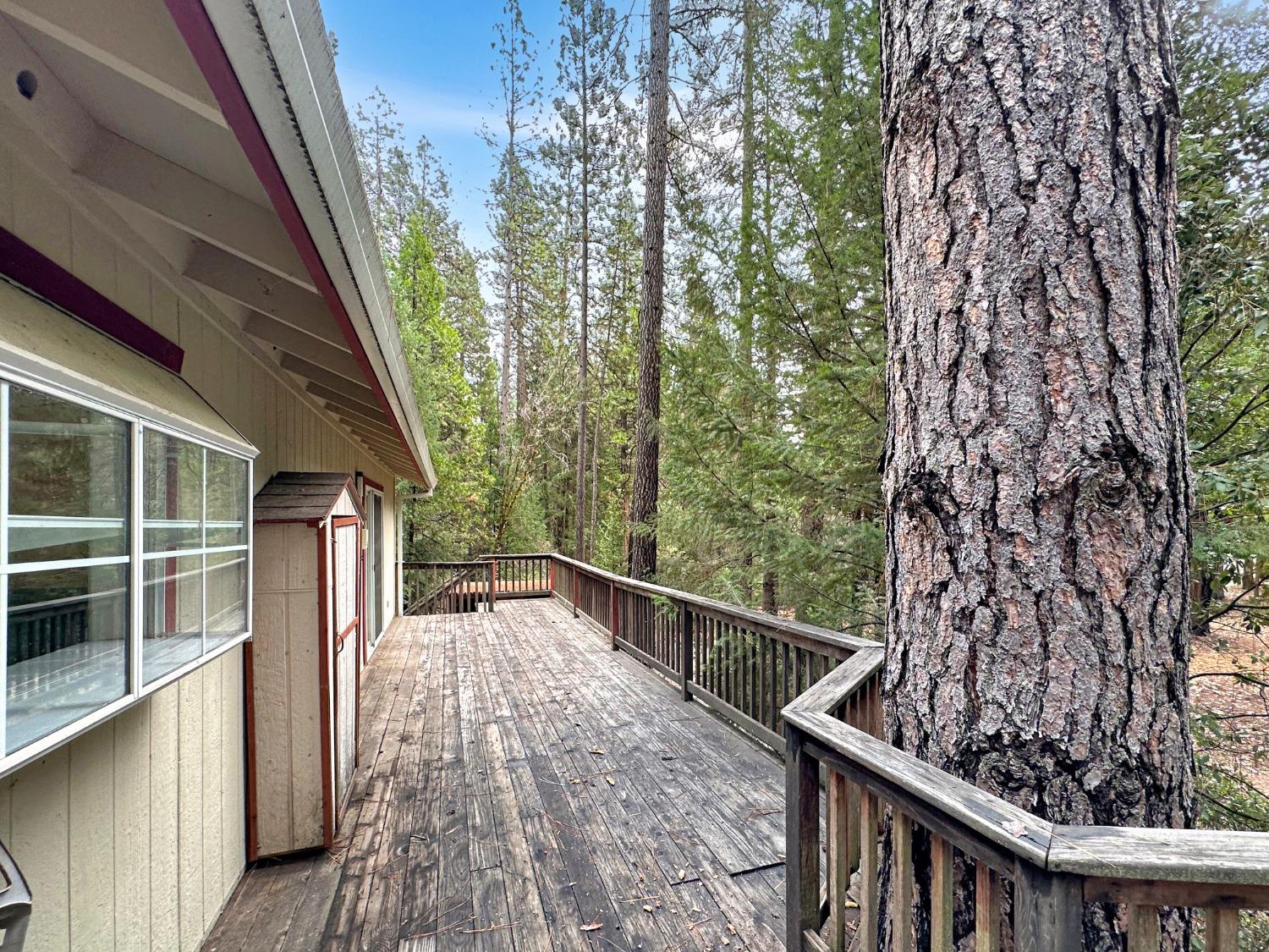 Sutter Way, Nevada City, California image 20
