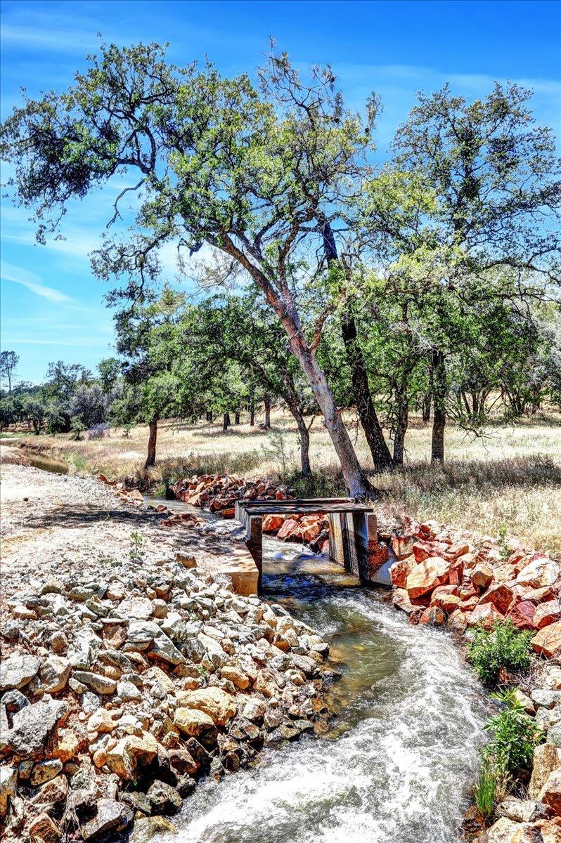 Mariposa Trail, Penn Valley, California image 5