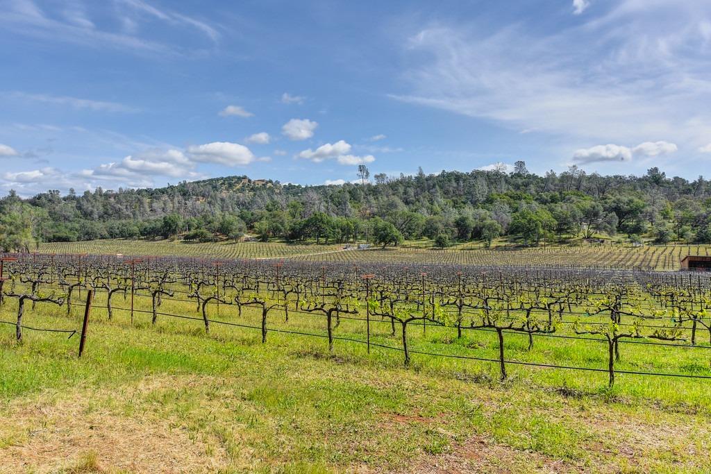 Sicard Flat Road, Browns Valley, California image 23