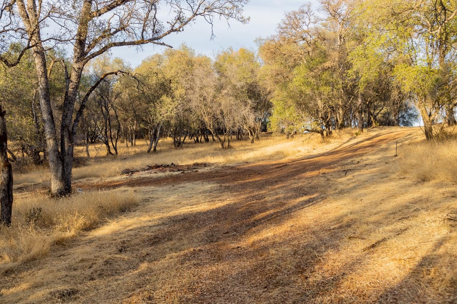 Mariposa Trail, Penn Valley, California image 22