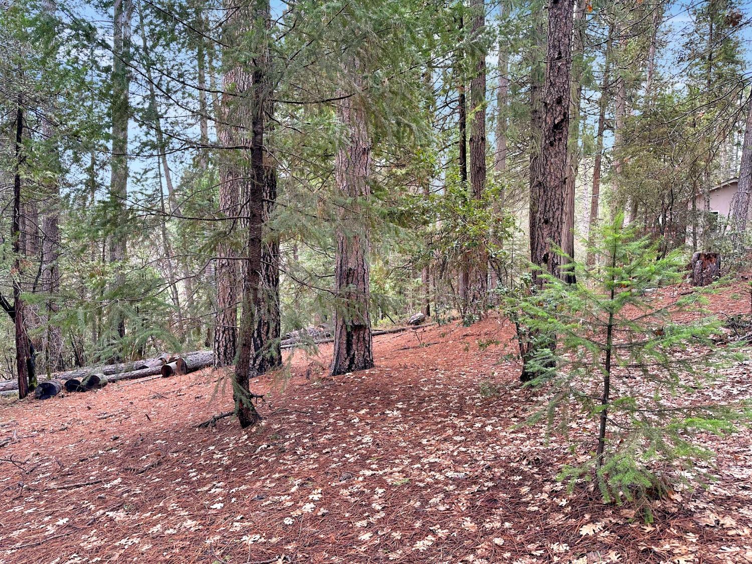 Sutter Way, Nevada City, California image 18