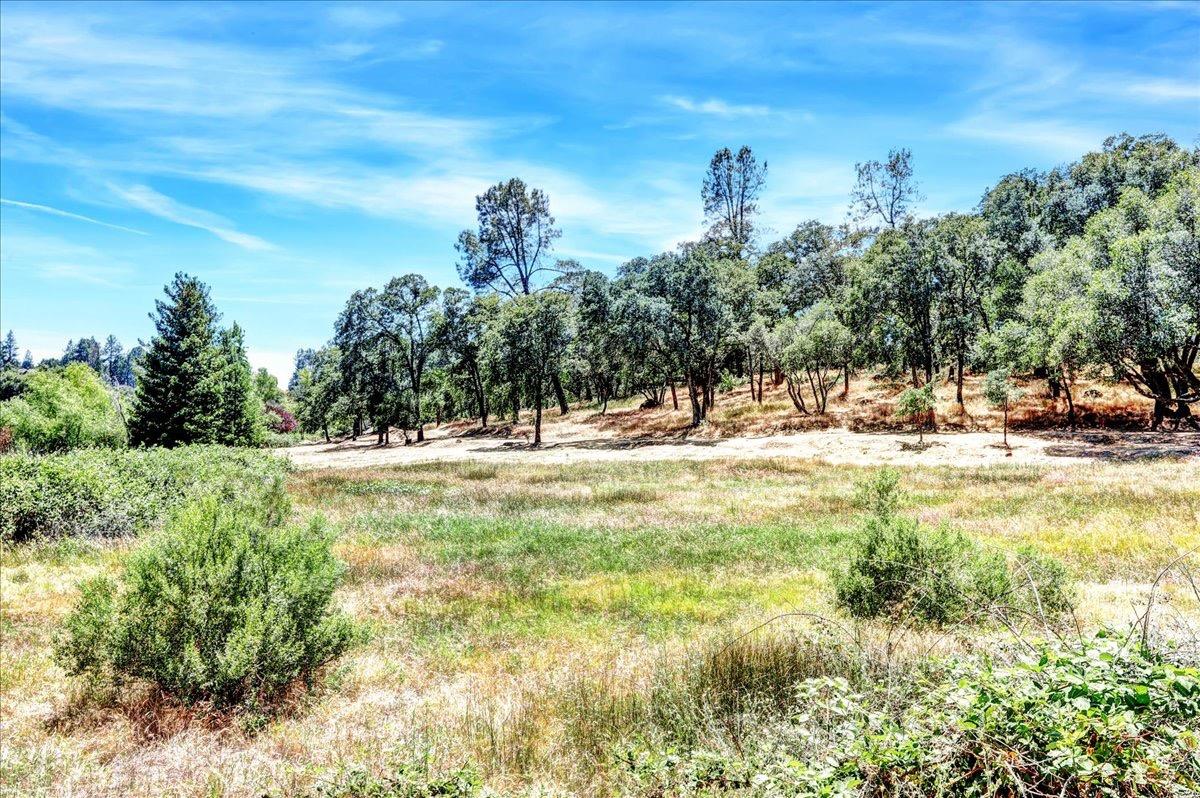 Mariposa Trail, Penn Valley, California image 20