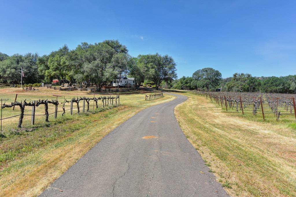 Sicard Flat Road, Browns Valley, California image 25