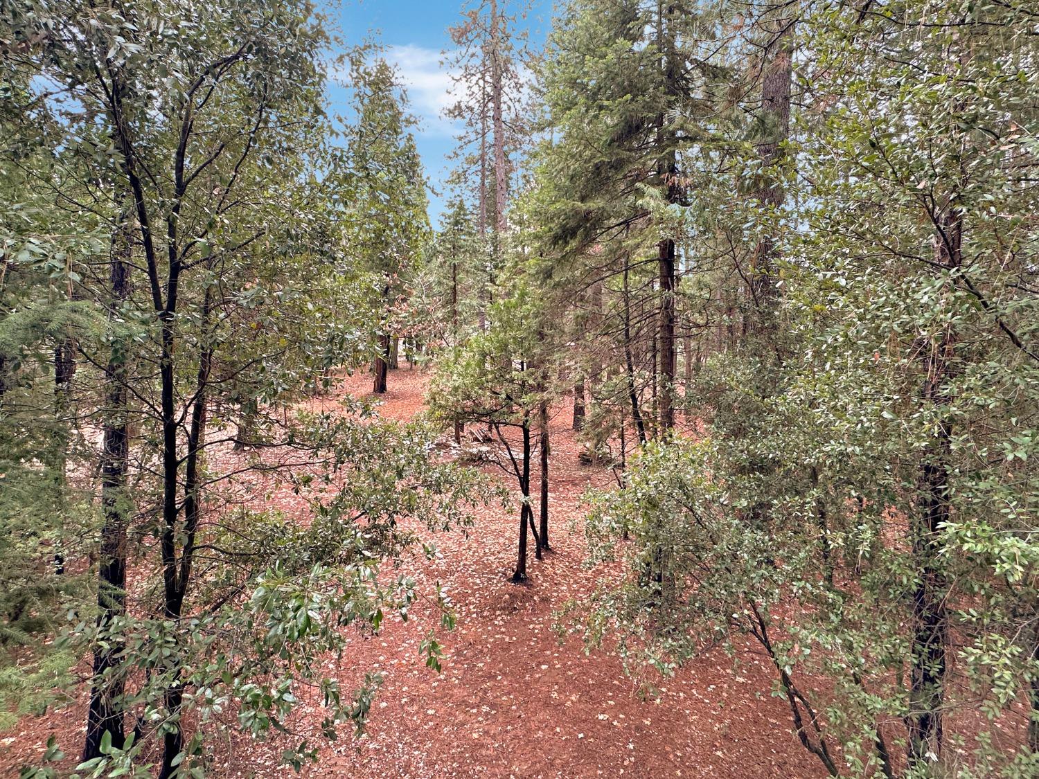 Sutter Way, Nevada City, California image 21