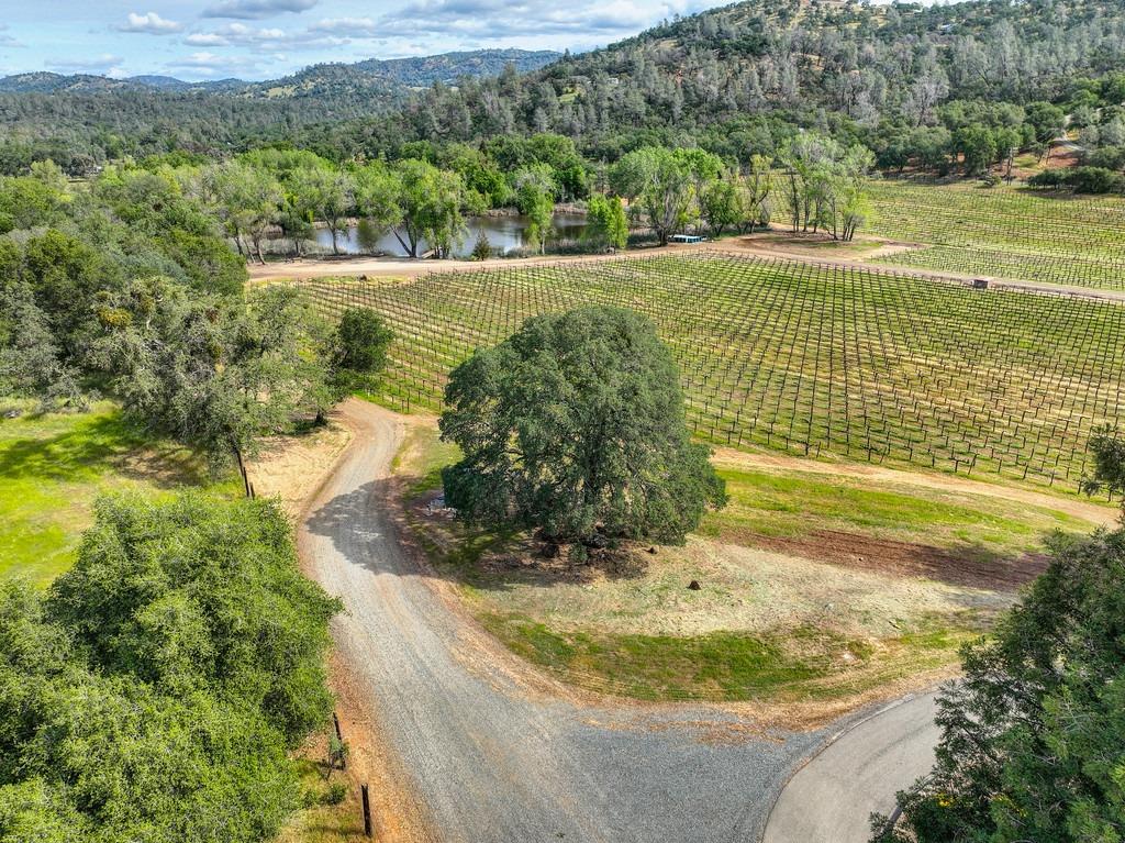 Sicard Flat Road, Browns Valley, California image 30