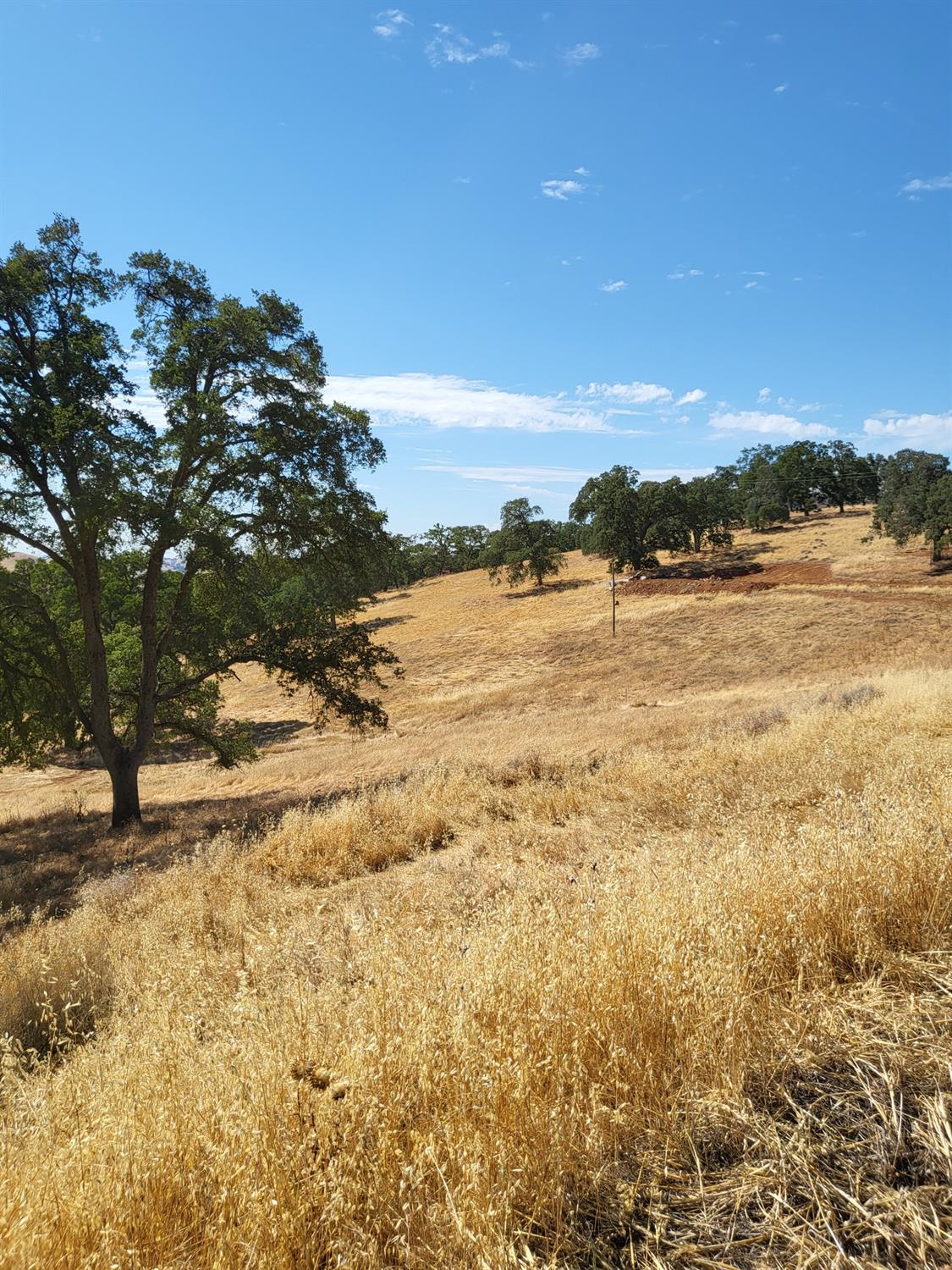 Last Chance Alley, Amador City, California image 3