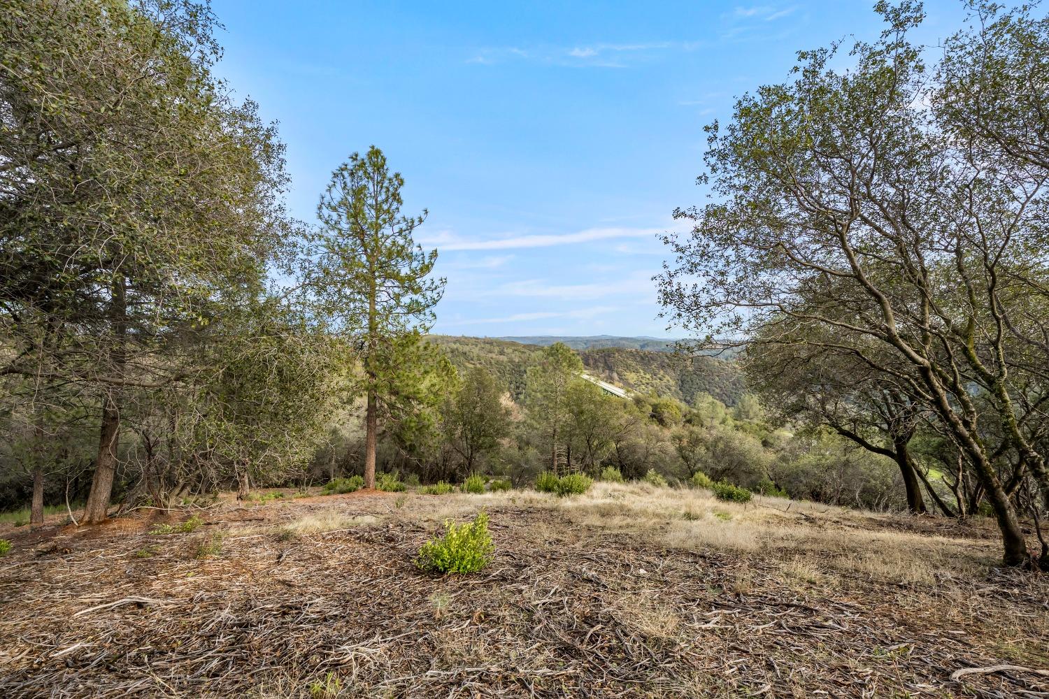 Detail Gallery Image 10 of 11 For 0 Fern Pl, Auburn,  CA 95603 - – Beds | – Baths