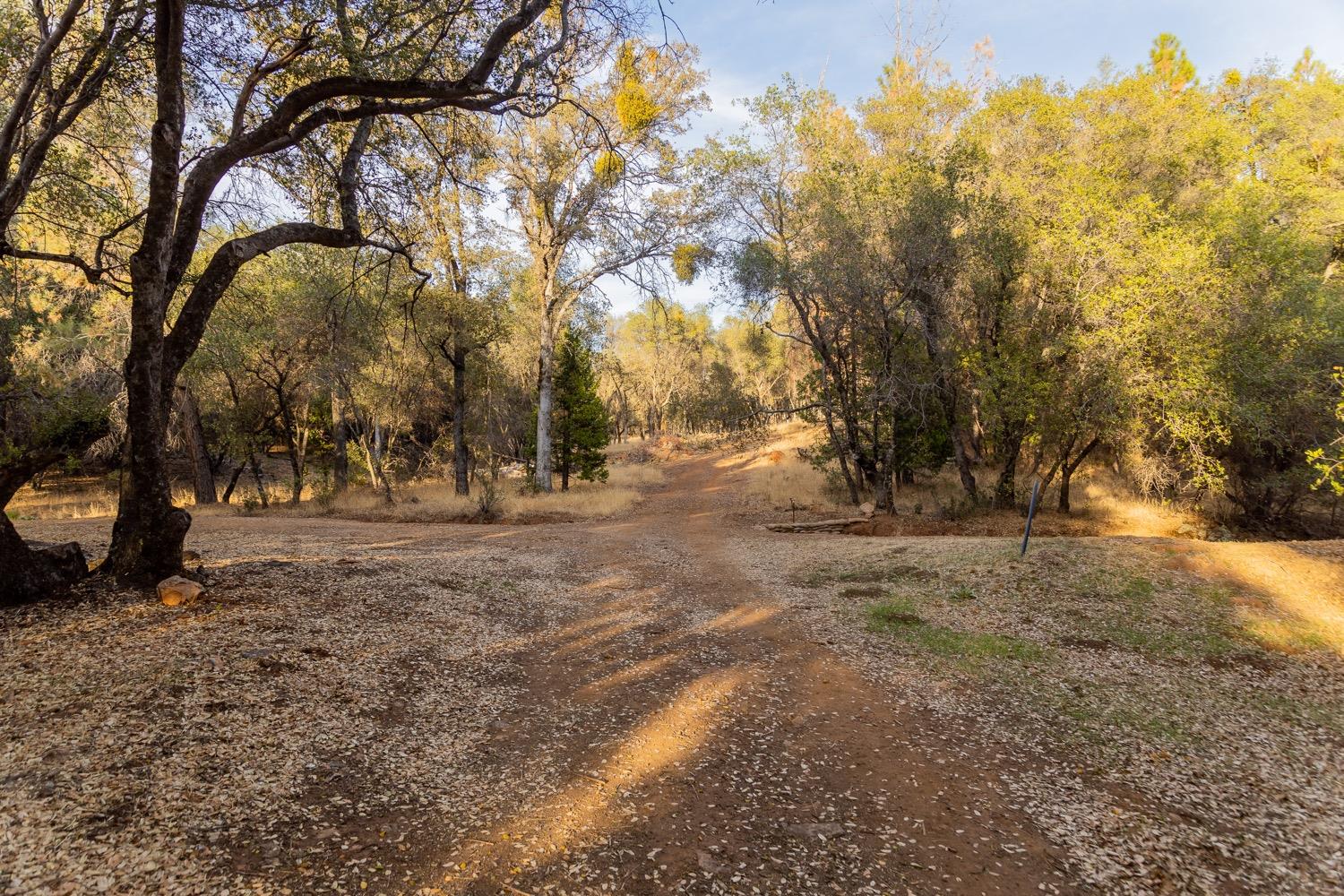 Mariposa Trail, Penn Valley, California image 20