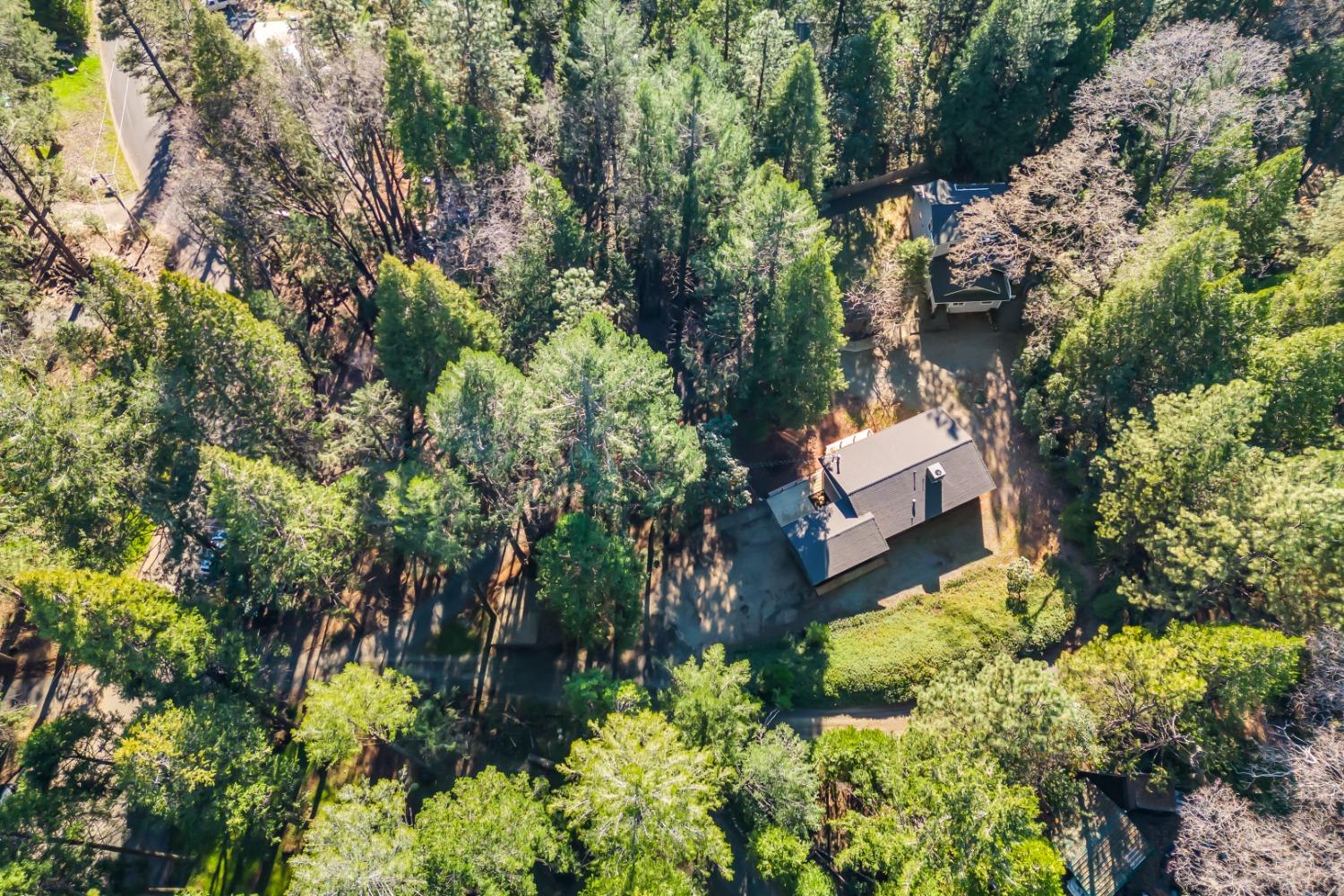 Virginia Bird Mine Court, Foresthill, California image 3