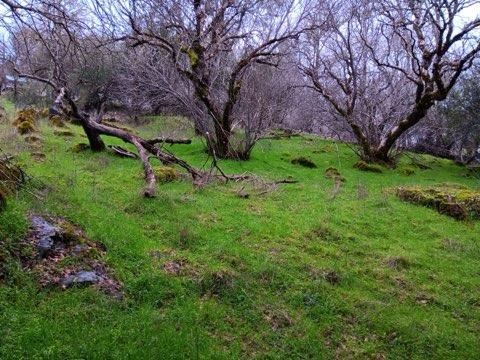 Hidden Valley Road, Mountain Ranch, California image 4