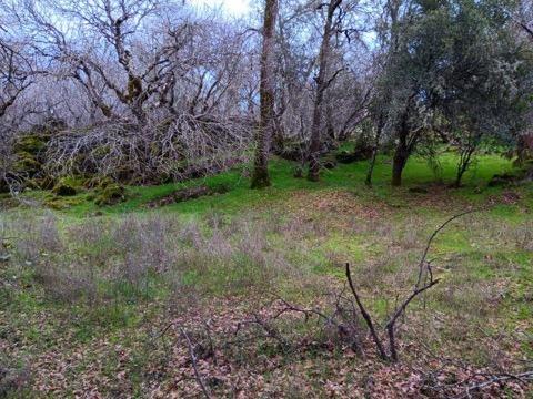 Hidden Valley Road, Mountain Ranch, California image 7