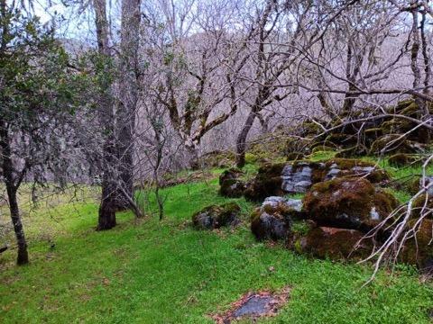 Hidden Valley Road, Mountain Ranch, California image 5