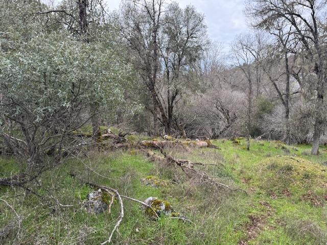 Hidden Valley Road, Mountain Ranch, California image 9