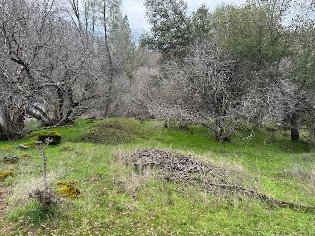 Hidden Valley Road, Mountain Ranch, California image 8