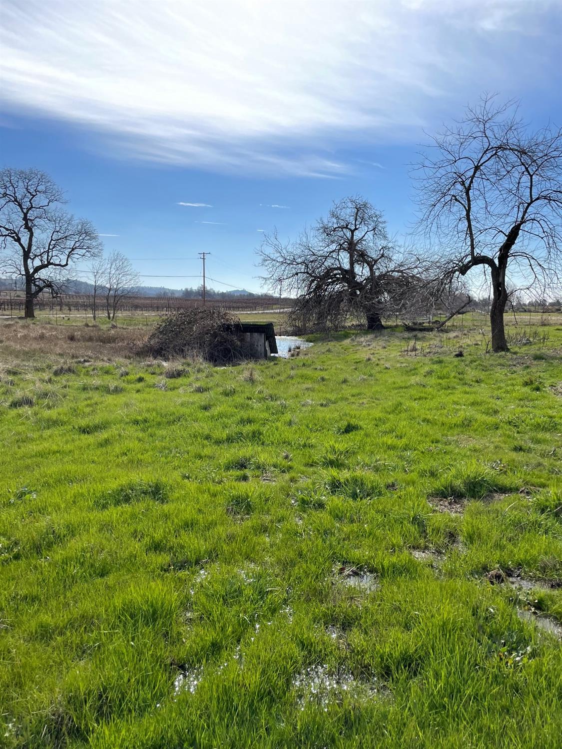 Shenandoah Road, Plymouth, California image 16