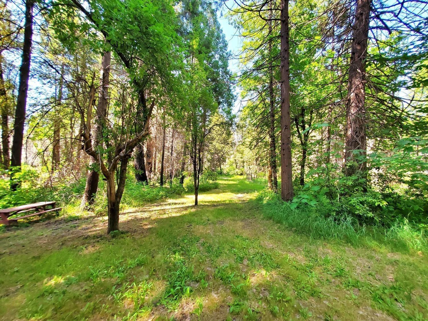 Sand Creek Drive, Berry Creek, California image 3