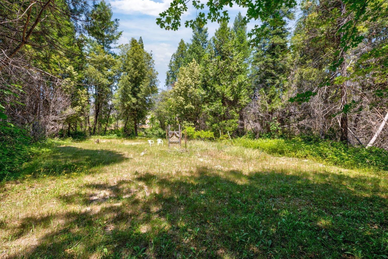 Sand Creek Drive, Berry Creek, California image 9