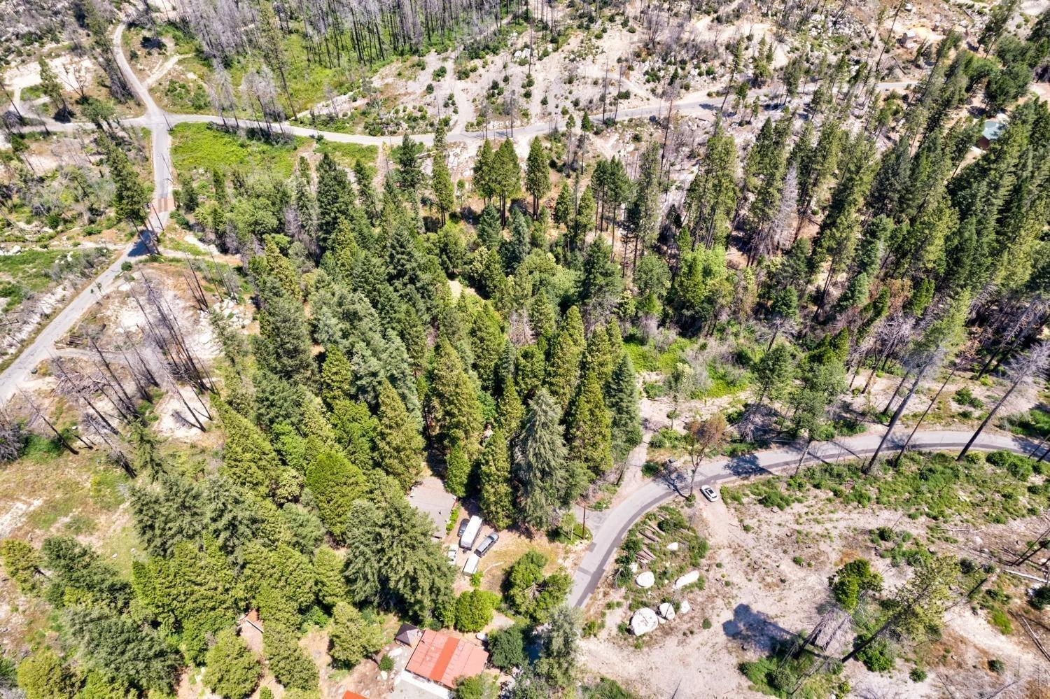 Sand Creek Drive, Berry Creek, California image 10