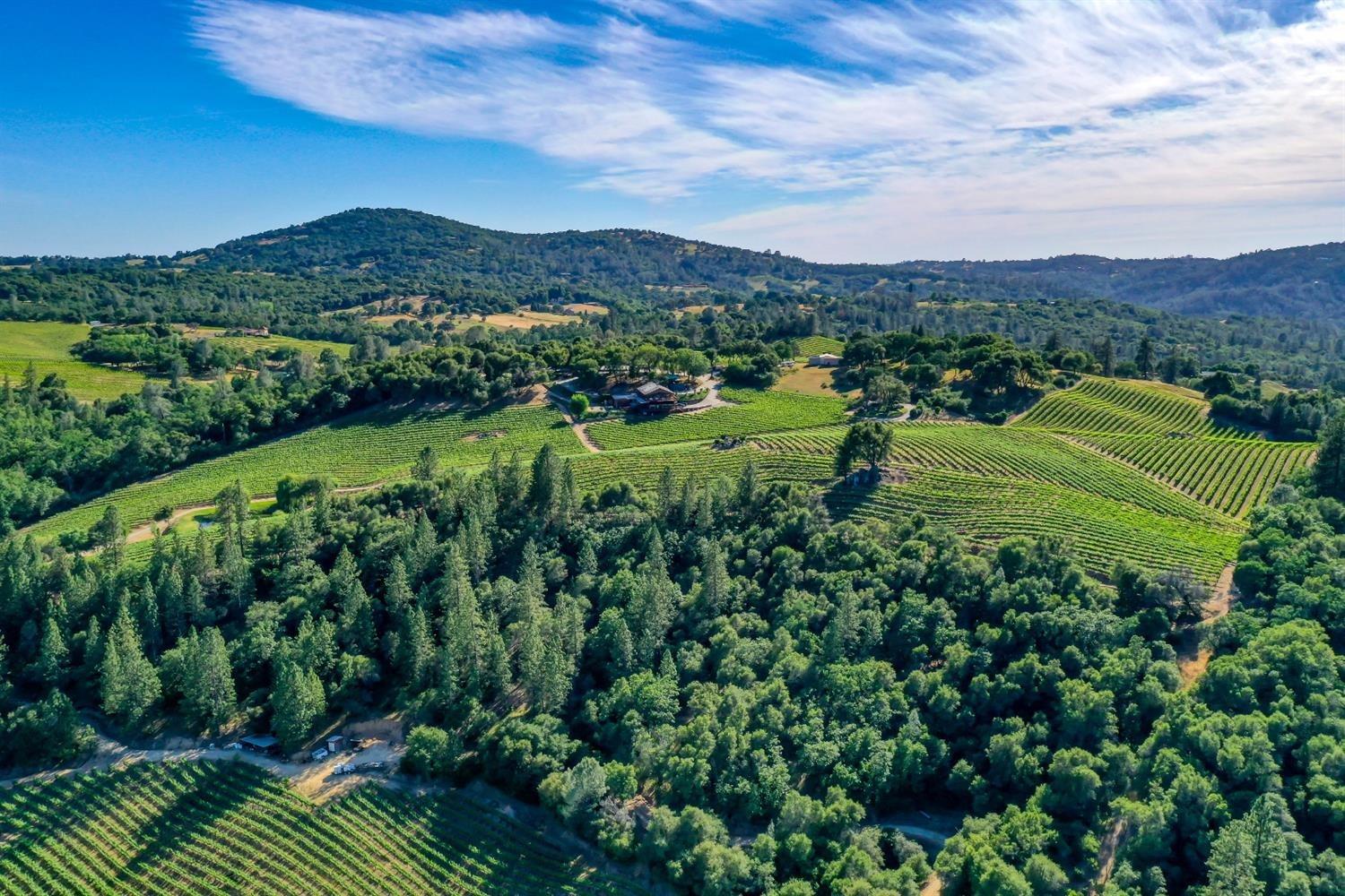 Detail Gallery Image 9 of 84 For 5660 Vineyard Ln, Placerville,  CA 95667 - – Beds | – Baths