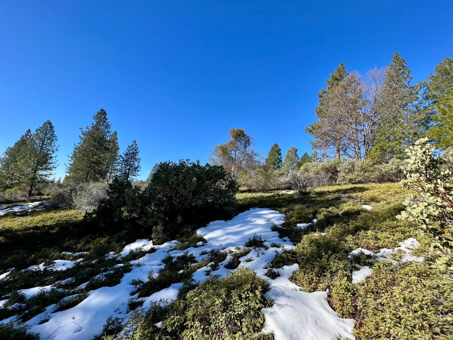 Slug Gulch Road, Somerset, California image 2