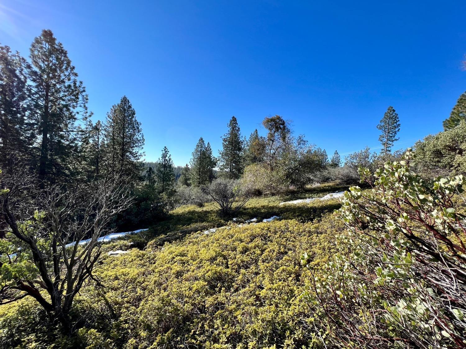 Slug Gulch Road, Somerset, California image 5