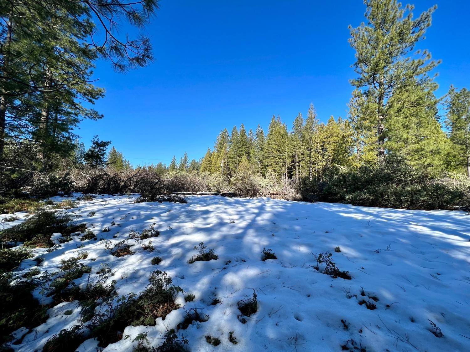 Slug Gulch Road, Somerset, California image 9