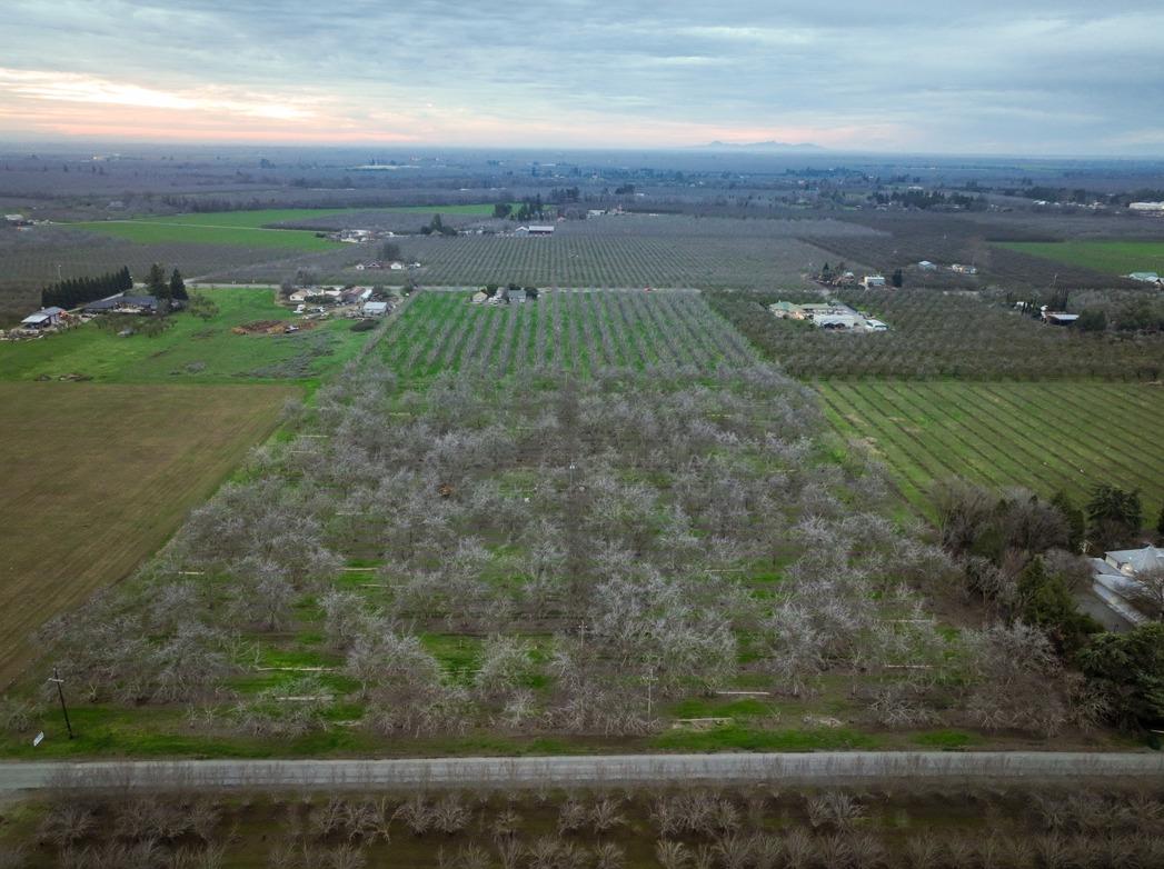 Morehead Avenue, Chico, California image 5