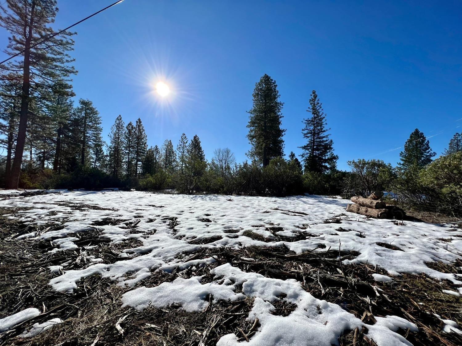 Slug Gulch Road, Somerset, California image 6