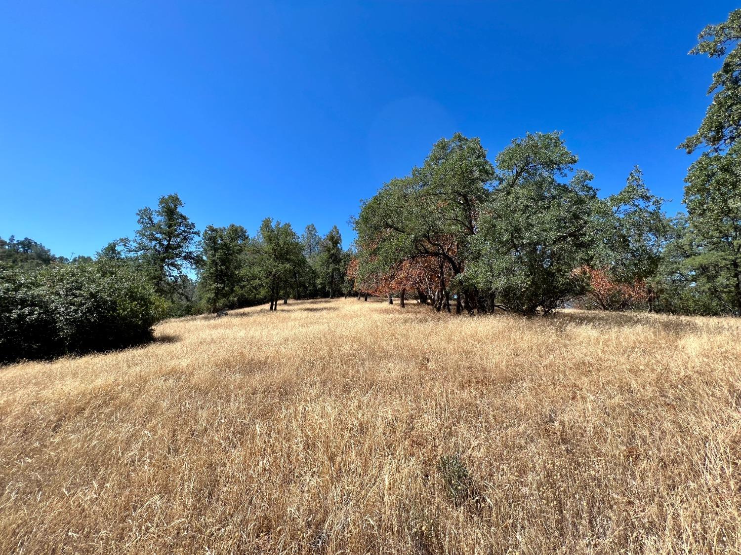 Photo of 3090 Omo Ranch Rd in Somerset, CA