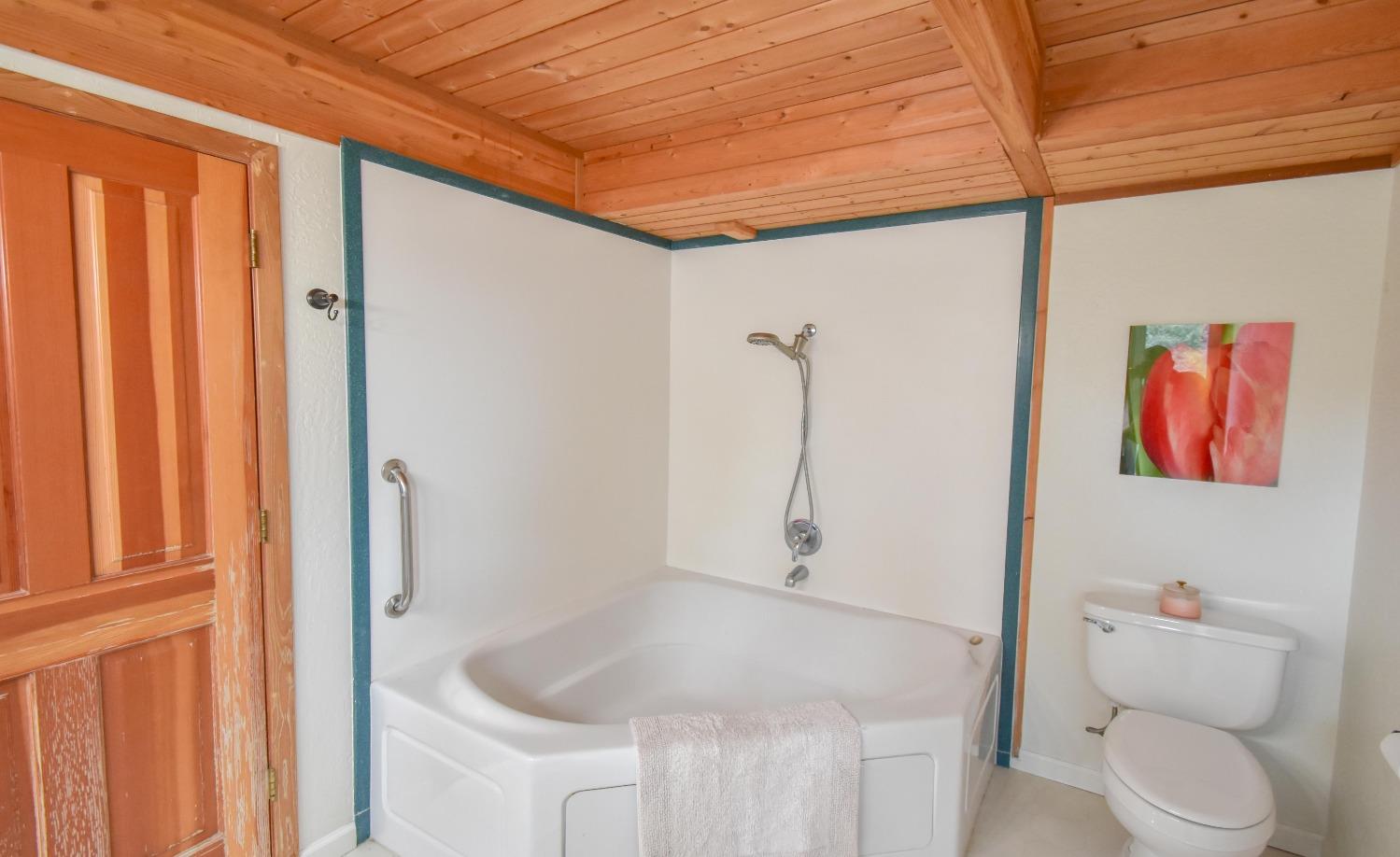 Detail Gallery Image 37 of 77 For 18568 Woodham Carne Rd, Sonora,  CA 95370 - 3 Beds | 2/1 Baths