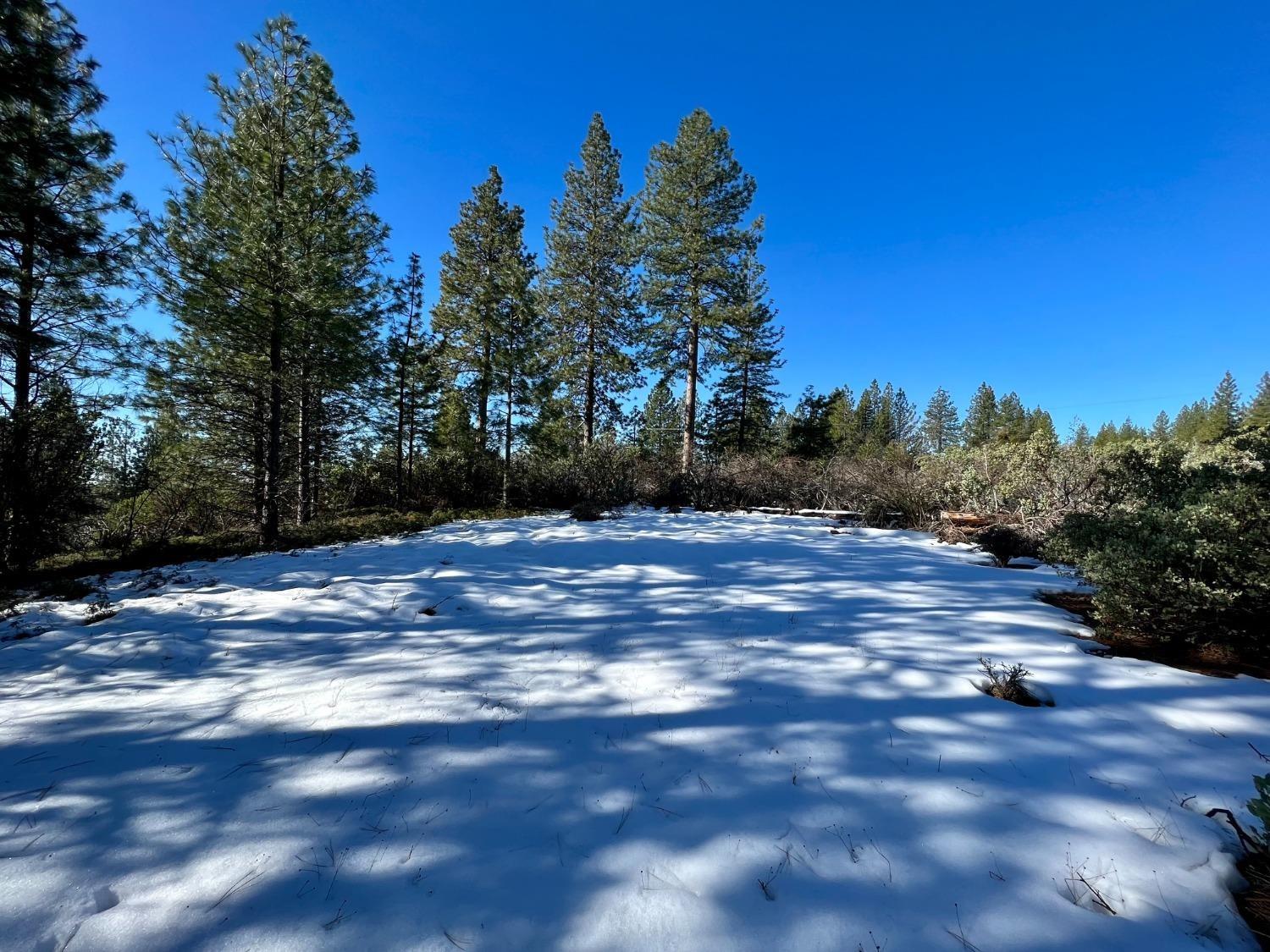 Slug Gulch Road, Somerset, California image 7