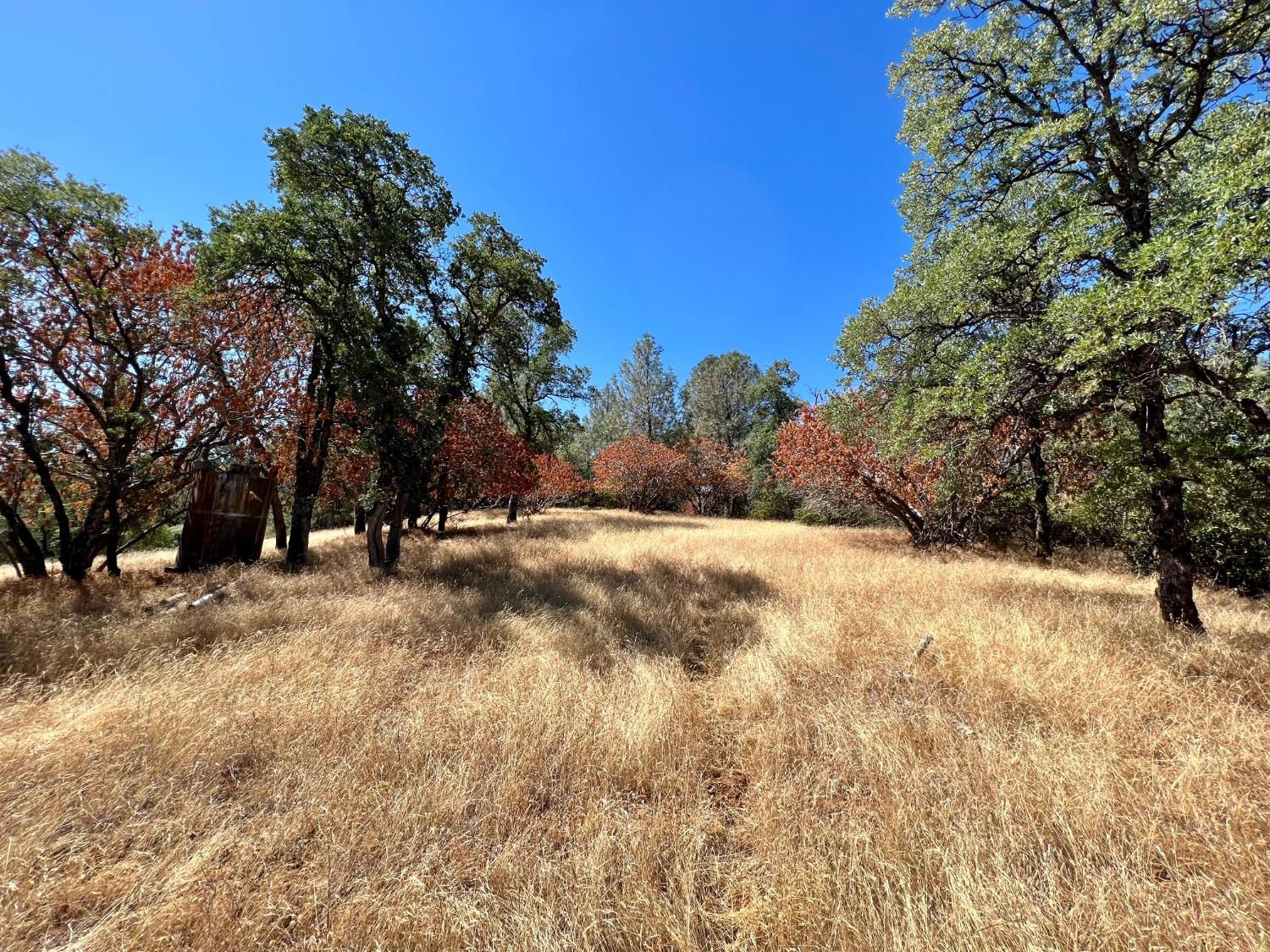 Detail Gallery Image 18 of 40 For 3090 Omo Ranch Rd, Somerset,  CA 95684 - – Beds | – Baths